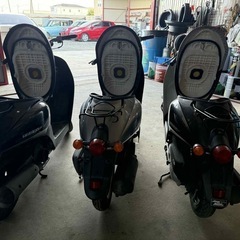 ホンダ　af67 の画像