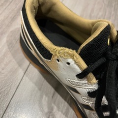23cmバレーボールシューズの画像