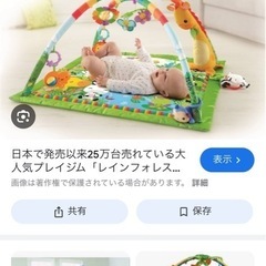 レインフォレスト　ジム
