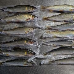 鮎釣り友達募集します！!
