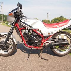 人気赤フレーム！！VT250F　初期型　MC08　赤フレームホン...