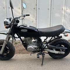 【動画あり】エイプ50 カスタム タイヤ前後新品　キャブ車 ホンダの画像