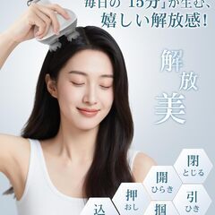AQielev ヘッドスパ 頭皮ブラシ 【日本皮膚管理博士監修】 電動頭皮ブラシ AI仿生頭皮ケア スカルプケア IPX7防水 赤青LED光(630nm＆480nm) 360°正逆回転＆急緩調節 最高で1万回の振動 深層クレンジング 3種交換ヘッド付属（頭皮/の画像