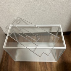 水槽、ぶくぶく、フィルターの画像