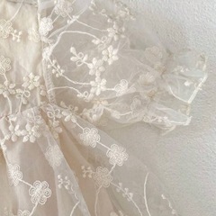 韓国刺繍レースドレスの画像