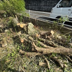 薪にどうでしょう？
