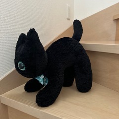 ぬいぐるみの画像