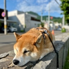 19時くらいから山形飲み