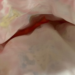 プリンセス巾着袋２点の画像