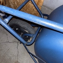 DCM 一輪車の画像