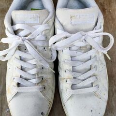 adidas・スニーカー・26cmの画像