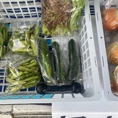 無人100円無農薬
野菜の画像