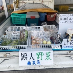 無人100円無農薬
野菜の画像