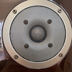 FOSTEX　GX250　フォステクス　トールボーイ　スピーカーの画像
