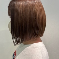 カットモデルの画像