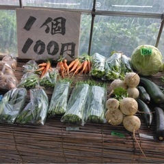 朝採り野菜6/21分
