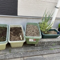 【無料】植木鉢