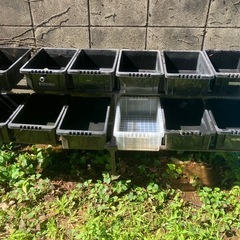 メダカ　飼育セット1式　　