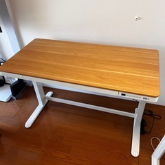 ※最終値下げ　昇降デスク　FLEXISPOT EG8  