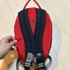 リトルライフ　スパイダーマンの画像