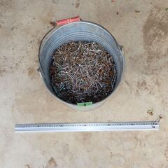 現状 まとめて 釘 くぎ クギ 木ネジ 10Lバケツ1杯 約15...