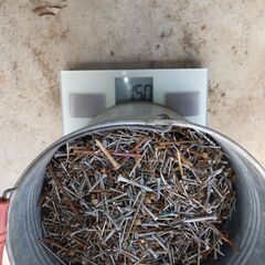 現状 まとめて 釘 くぎ クギ 木ネジ 10Lバケツ1杯 約15kg 大工 DIY 建築材料 @2の画像