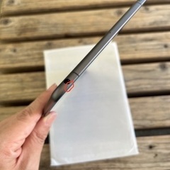 6/22 10時に新宿駅か東銀座駅で　iPad OS 26対応　美品　SIMフリー　iPad mini 5（2019）Cellularモデル スペースグレイ 本体のみの画像