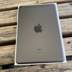 6/22 10時に新宿駅か東銀座駅で　iPad OS 26対応　美品　SIMフリー　iPad mini 5（2019）Cellularモデル スペースグレイ 本体のみの画像