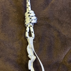 小さいバックの画像