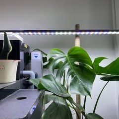 コトブキフラットLED SS 120cm