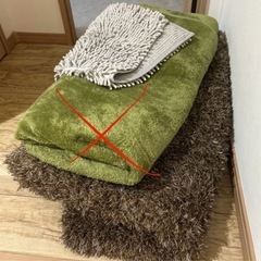 ニトリカーペットとグレーマット