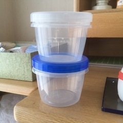 クワガタ幼虫カップ