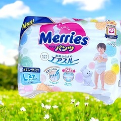 メリーズパンツLサイズ(9~14kg)さらさらエアスルー 44枚