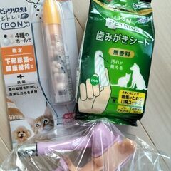 猫飼育に　スターターセット