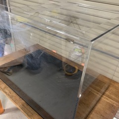 [決まりました]大型フチ
なし90アクリル水槽🐟の画像