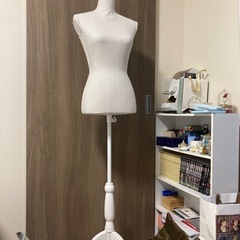 トルソーの画像