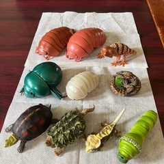 いろいろな生き物
