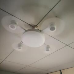 DRONE  FAN  LIGHTの画像
