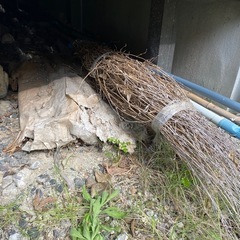 長い棒3本と竹ぼうきの画像