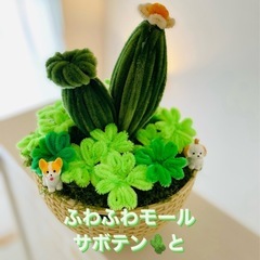 ふわふわモールサボテン🌵&四葉のクローバー🍀