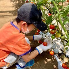 親子で食農体験　～親子で夏野菜収穫！～　CSまちデザイン市民講座＠練馬区白石農園の画像