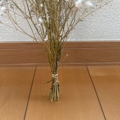 カスミソウ　ドライフラワー　小の画像