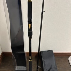 ダイワ　ラテオ　100MLの画像