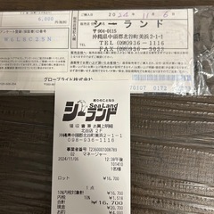 ダイワ　ラテオ　100MLの画像