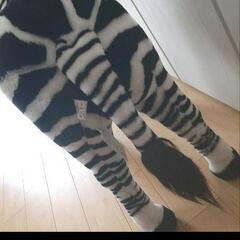  シマウマ 玄関スツールの画像