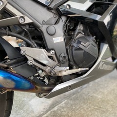 Kawasaki Ninja 250 ニンジャの画像