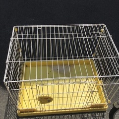 犬ゲージ　黄色