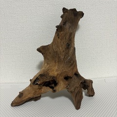 流木　アク抜き済み　横21㎝×縦28㎝