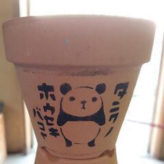 リメイク鉢(陶器の鉢)多肉植物などに(*^^*)の画像