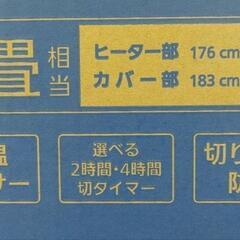 リユースのサカイ東金店 Panasonic 電気カーペット TJ12864の画像